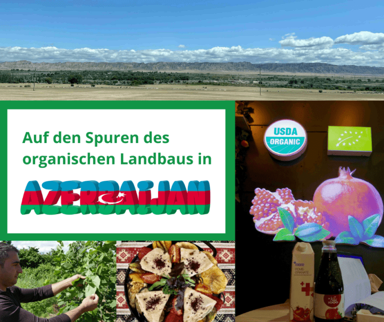 Read more about the article Auf den Spuren des organischen Landbaus in Aserbaidschan