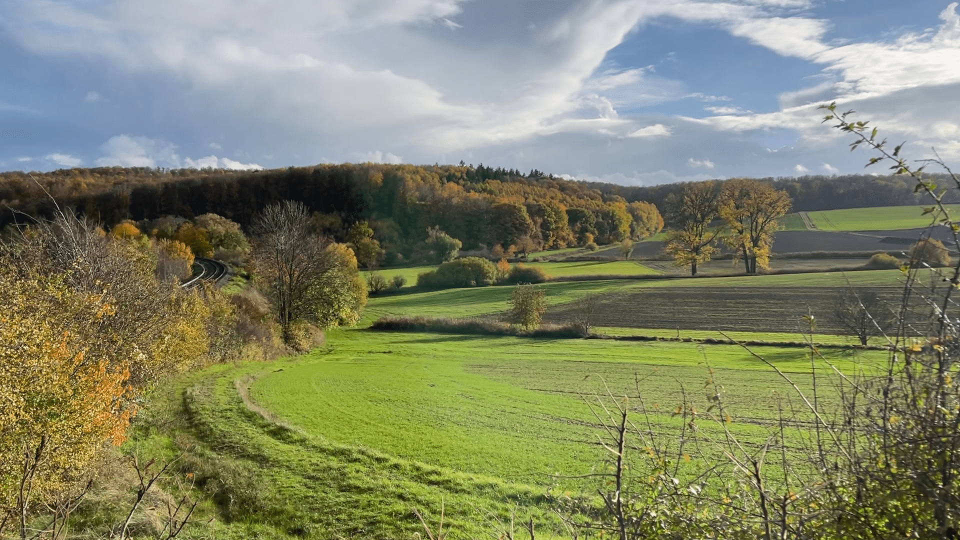 Wiesen in Ober-Ramstadt