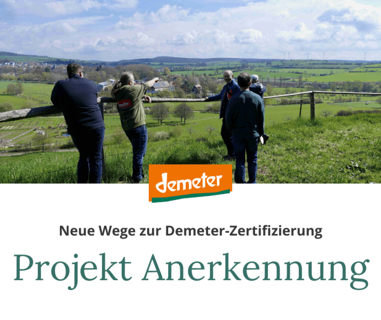 Read more about the article Projekt Anerkennung